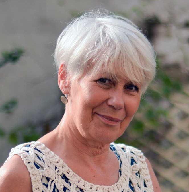 Formation analyse des pratiques, supervision d’équipes : L&rsquo;institution- Session 06